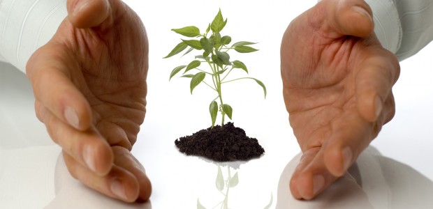 Etiam commodo convallis